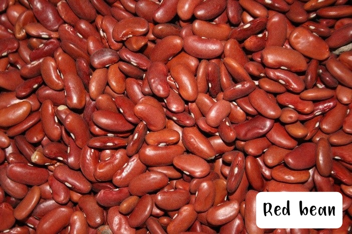 Seed